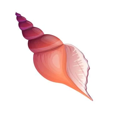 Elegant Seashell Illustrazione stock
