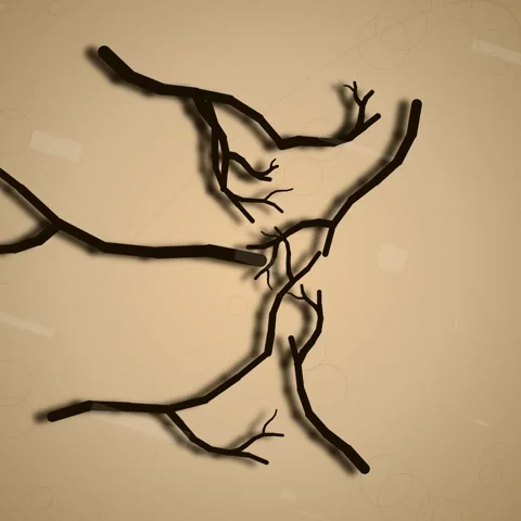 Elegant silhouette of abstract tree branches and roots design Stock Footage 345690847