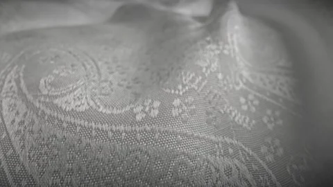 Elegant Silver Fabric with Intricate Pattern Stock Footage 309644757
