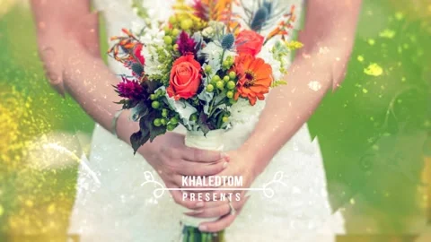 Elegant Slideshow / Romantic Memories / Wedding Photo Album / Simple Transitions After Effects stock