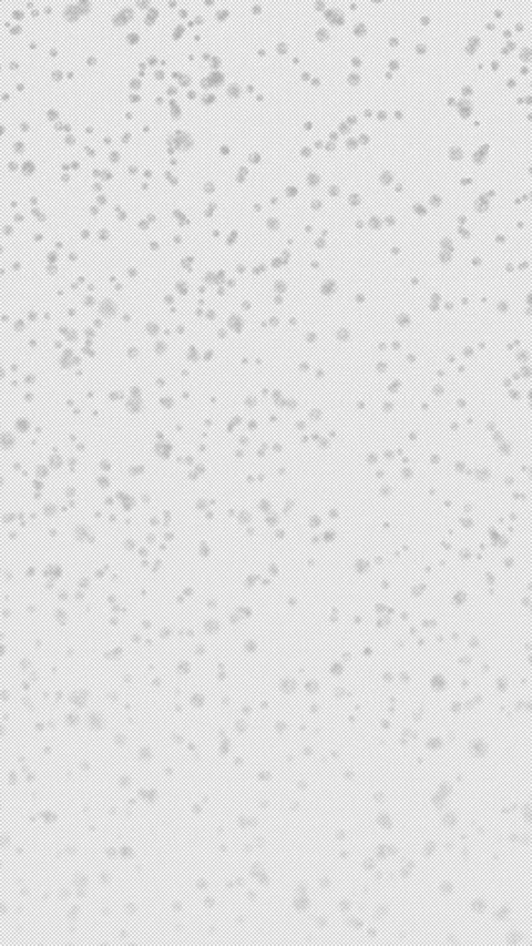 Elegant snowfall particle animation with alpha channel transparency Stock-Footage 334266859