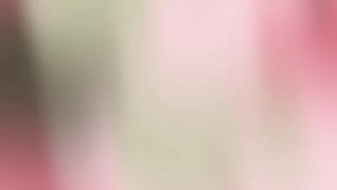 Elegant Soft Gradient Background Blush Sage Clean Wedding Use Video stock 307413986