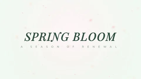 Elegant 'Spring Bloom' text graphic symbolizing rebirth, renewal, and natur.. Stock Footage 336805283