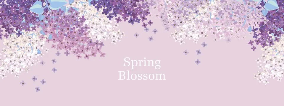 Elegant spring lilac branches vector element 스톡 일러스트