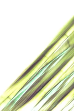 Elegant striped grey background pattern fading into white space Stock Photos