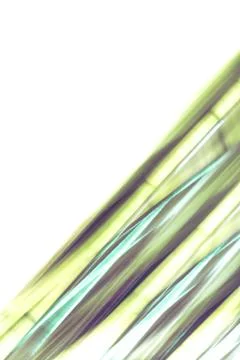 Elegant striped grey background pattern fading into white space Foto stock