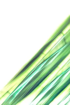 Elegant striped grey background pattern fading into white space 写真素材