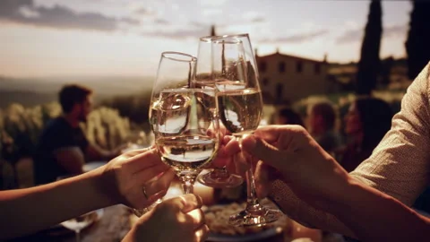 Elegant Sunset Wine Toast At Rustic Italian Villa Dinner Party Celebration Stock Footage 295153310