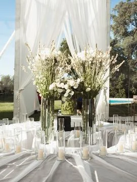 Elegant table set under flowing white drapes Stock Photos