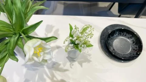 Elegant table setting with modern black plates and fresh white tulips casti.. Stock Photos