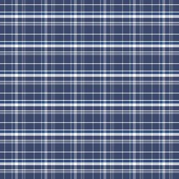 Elegant tartan plaid pattern background in dark blue light blue and white 库存插图