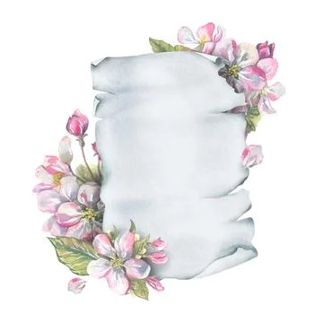 Elegant template for text with blooming apple flowers and a twisted sheet of Stock Illustration