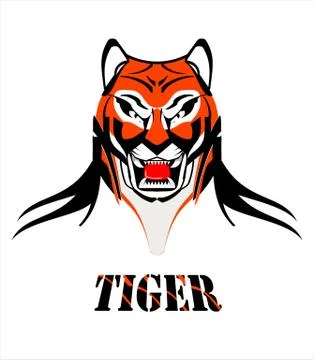 Elegant Tiger Head Stock Illustration