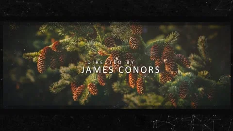 Elegant titles for presentation 스톡 After Effects