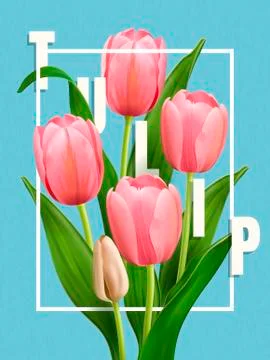 Elegant Tulip poster Illustrazione stock