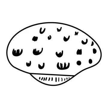 Elegant vector contour drawing of a seashell in minimal linear style. Perfe.. Illustrazione stock