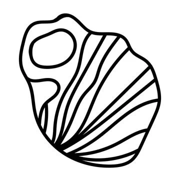 Elegant vector contour drawing of a seashell in minimal linear style. Perfe.. Illustrazione stock