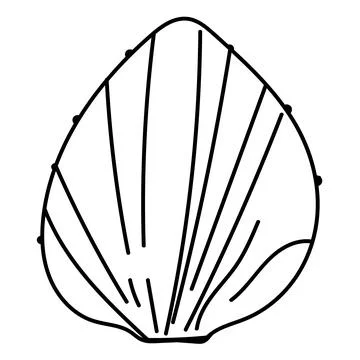 Elegant vector contour drawing of a seashell in minimal linear style. Perfe.. 스톡 일러스트