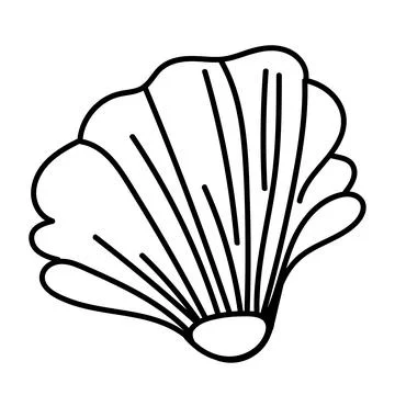 Elegant vector contour drawing of a seashell in minimal linear style. Perfe.. Illustrazione stock