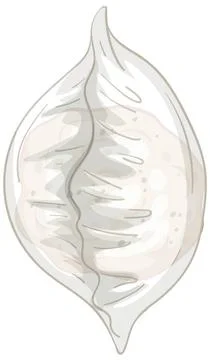 Elegant Vector Illustration of Asian Dumpling Stockillustratie