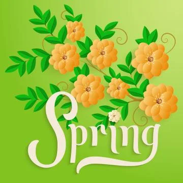 Elegant vector spring invitation card. Vector invitation card with green back Stock Illustration