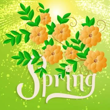 Elegant vector spring invitation card. Vector invitation card with green back Stock Illustration