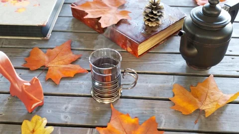 Elegant Vintage Autumn Slideshow Stockmateriaal After Effects