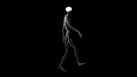 Elegant Walk of a Glowing Skeleton Stock Footage 341776960