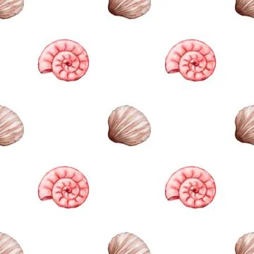 Elegant watercolor pattern featuring seashells on a crisp white background .. Stock Photos