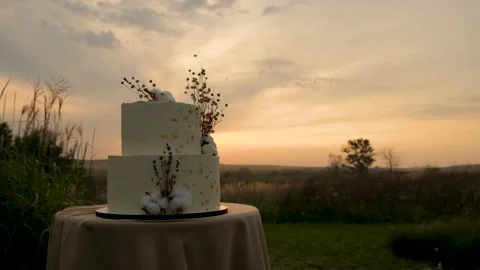 Elegant wedding cake at sunset. Stock Footage 261431725