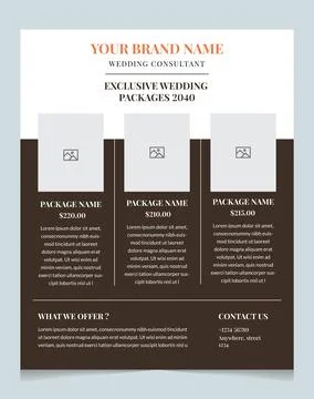 Elegant Wedding Packages Flyer Template Stock Illustration