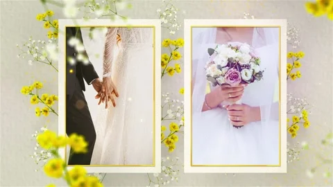 Elegant Wedding Slideshow After Effects素材