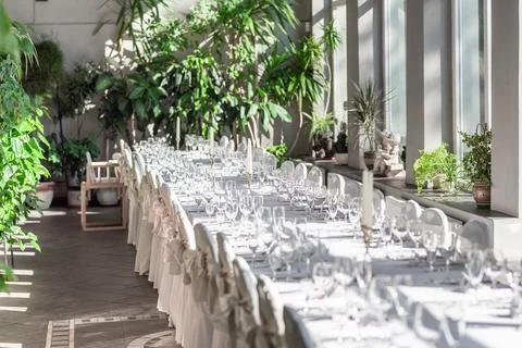 Elegant Wedding Table Setting in Luxurious Greenhouse With Natural Light Stock Photos