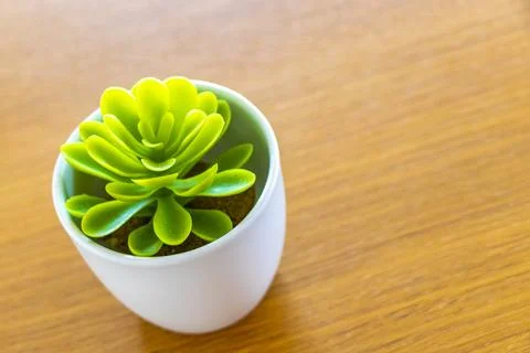 Elegant White Ceramic Planter with Tiny Green Plant for Table Decoration in.. 写真素材