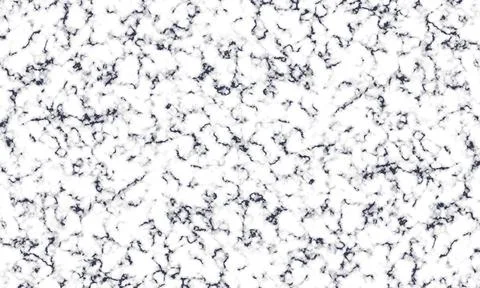 Elegant white marble surface texture with dark grey veining natural stone p.. Stock Illustration