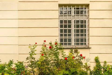 Elegant Windows 스톡 사진