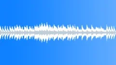 The Elegy (loop) Stock Music