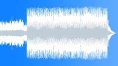 Elektro Shrock 60 BStock Music