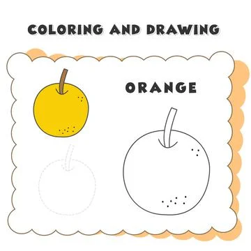 Element book coloring and drawing orange. Set of color drawing oranges isolat Иллюстрация