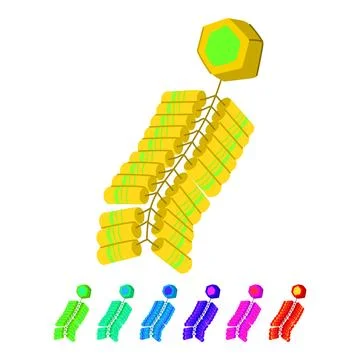 Element chinese firecracker vector cartoon graphic Stock Illustration