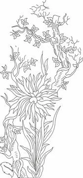 Element for design. It can be used for decorating of wedding invitations, gre Stock Illustration