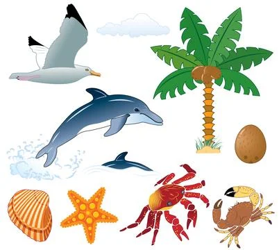 Element for design (summer, sea) 스톡 일러스트