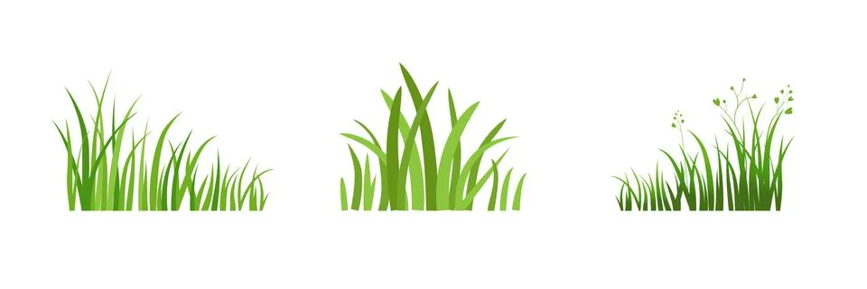 Element Eco green grass Stock Illustration