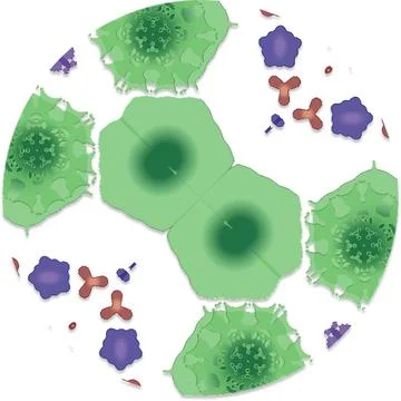 Element Gradient Abstract Creative Background for Digital Art and Contempor.. Stock Illustration