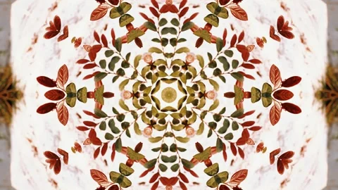 Element moving symmetry Red and green leaf plant pattern Stock Footage 240723942