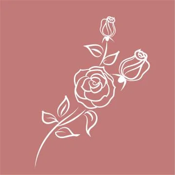 Element for pattern with flowers roses, vector floral illustration in vintage Stock Illustration