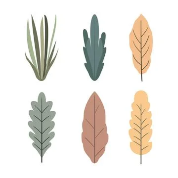 Element Set of Autumn Leaf Leaves Foliage Plant Decoration in the Park 스톡 일러스트