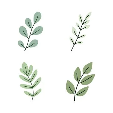 Element Set of Green Leaf Leaves Foliage Fresh Natural Nature Plant イラスト素材