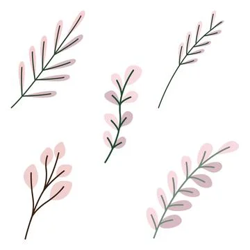 Element Set of Pink Fresh Flower Floral Florist Nature Plant 스톡 일러스트