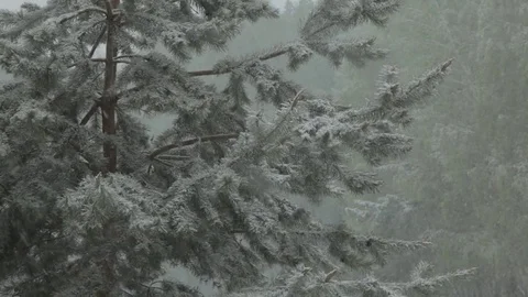 Element. Summer snow. In summer, the snow fell. Beautiful snow falls. Stock Footage 77269626